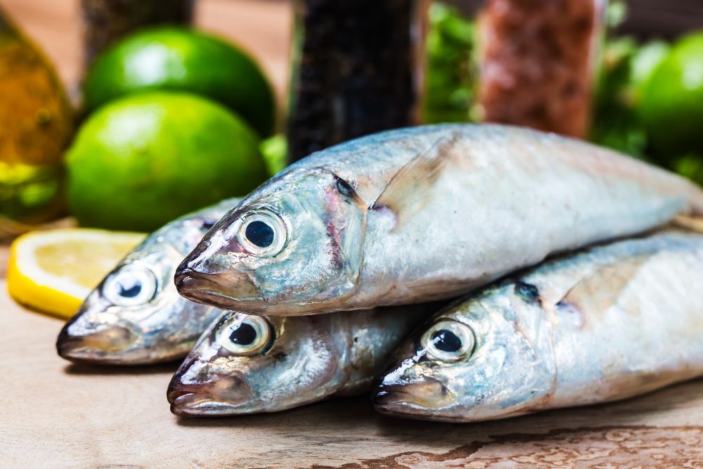 Kerap diolah jadi pepes hingga suwir pedas, yuk, ketahui kandungan dalam ikan tongkol yang baik untuk tubuh, salah satunya adalah protein.