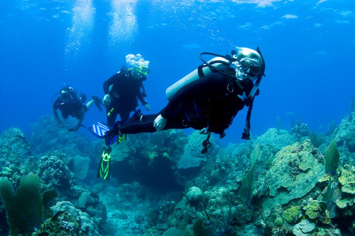Dalam rangka Hari Lau Sedunia, berikut ini tiga olahraga di laut yang wajib kamu coba. Ada Scuba Diving.