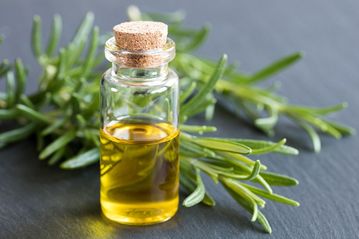 Berikut ini penjelasan mengenai manfaat rosemary oil yang viral di TikTok, dikatakan bisa membantu pertumbuhan rambut.