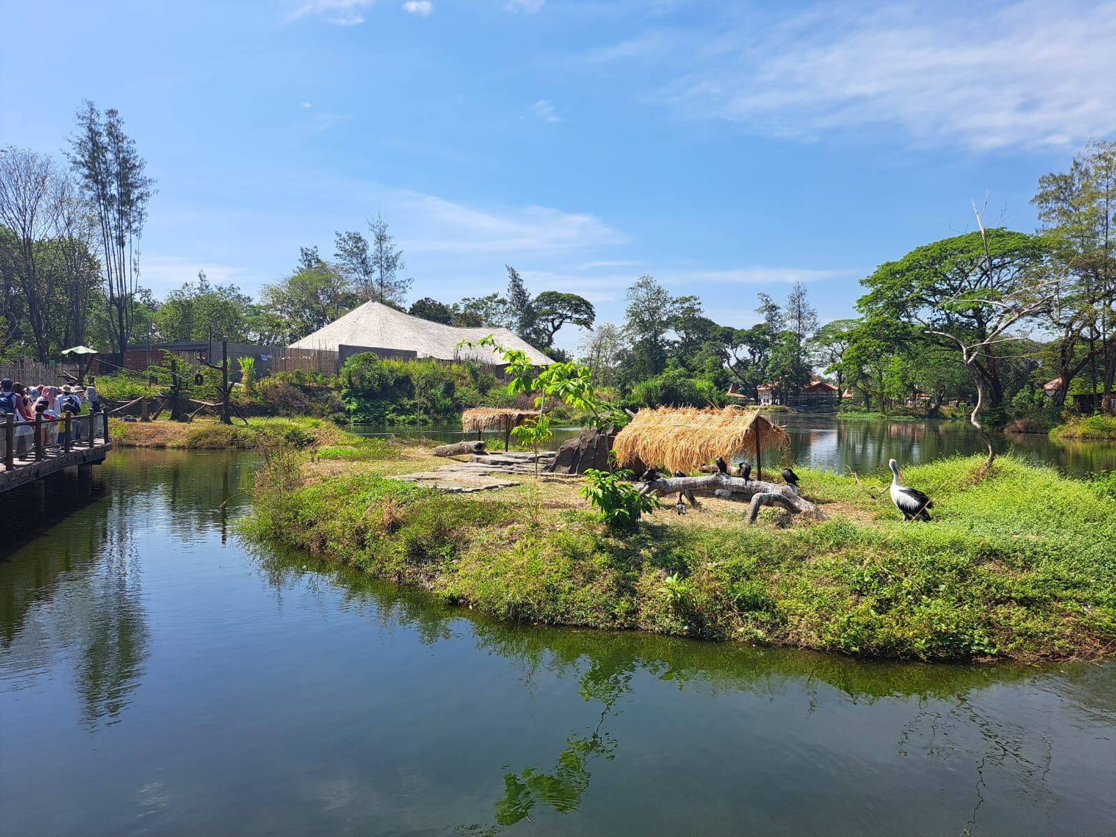 Berita terpopuler Wellness (4/9/2023): Mulai dari promo Taman Safari Indonesia di Kompas Travel Fair 2023. Hingga buah yang baik untuk ibu hamil.