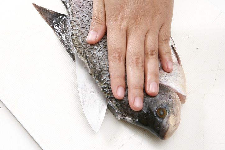 Berikut ini 3 cara membersihkan ikan gurame agar tidak bau tanah, mulai pindah ke air bersih dan bersihkan organnya.