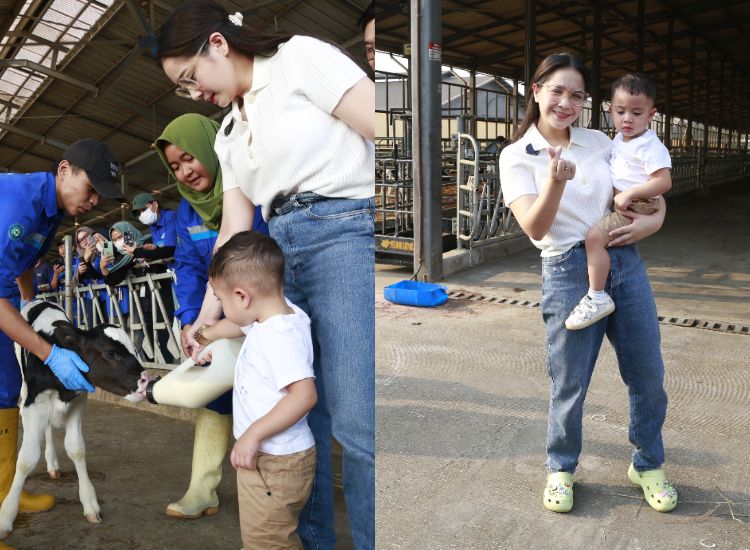Berikut ini berbagai aktivitas seru di Farm & Factory MilkLife yang dikunjungi oleh Nagita Slavina dan Cipung 