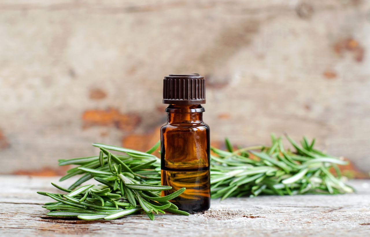 Berikut ini 5 rekomendasi rosemary oil untuk pertumbuhan rambut yang viral di TikTok, bisa dibeli di Shopee