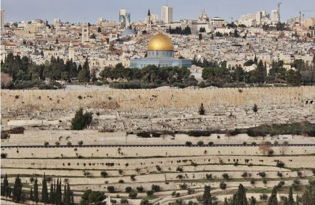 Berita terpopuler Wellness (8/2/2024): Mulai dari sejarah Masjid Al Aqsa di Palestina. Hingga manfaat voli untuk kesehatan.