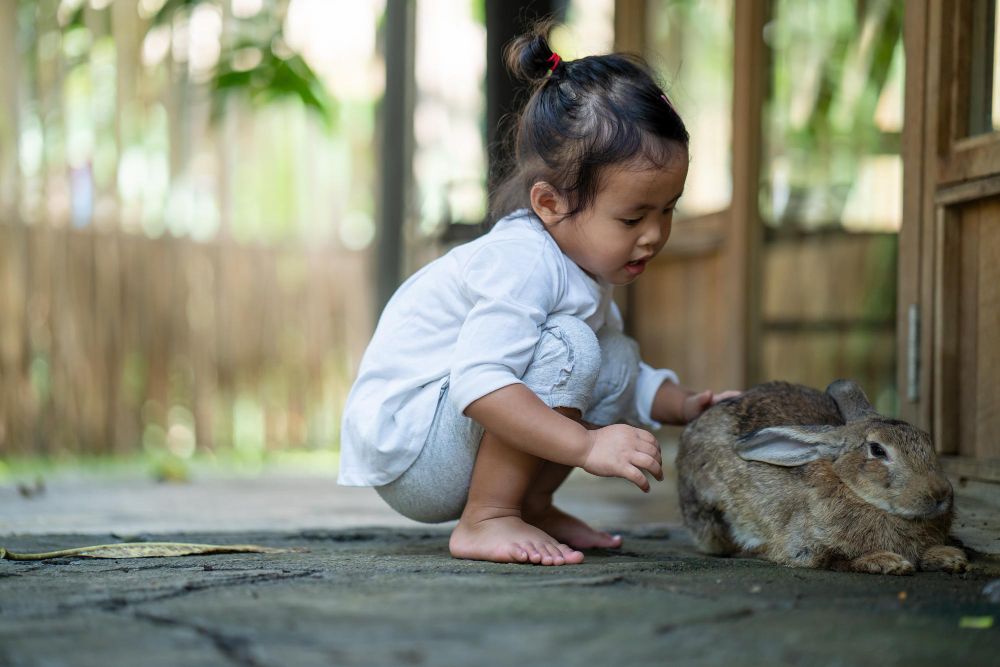 Agar anak jadi animal lover atau pencinta hewan, berikut hal-hal yang dapat orang tua lakukan sejak si kecil berusia balita. 