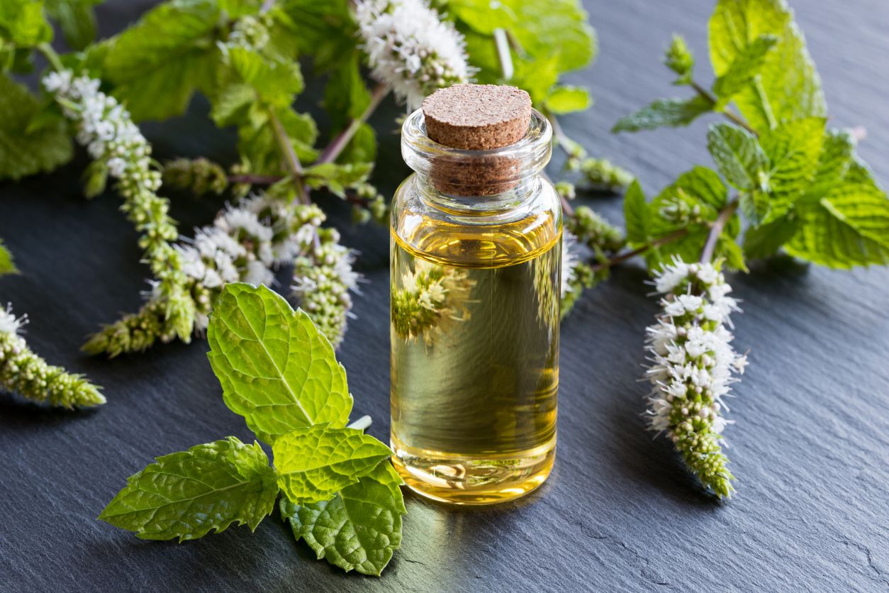 Berikut ini 5 manfaat peppermint oil untuk rambut, yang jadi hair care alami viral di TikTok, simak selengkapnya.