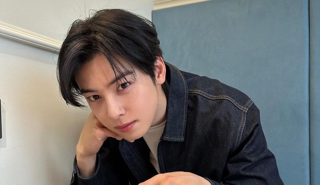 Segini rincian harga tiket fancon Cha Eun Woo di Jakarta lengkap dengan cara pembeliannya. Yuk kita simak lengkapnya.