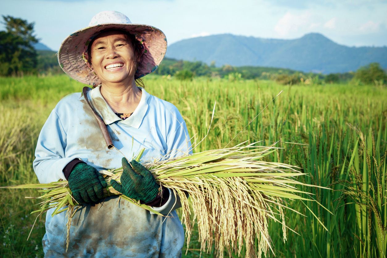 Program ini berikan kesempatan kepada petani perempuan meningkatkan pengetahuan dan skill di bidang pertanian.