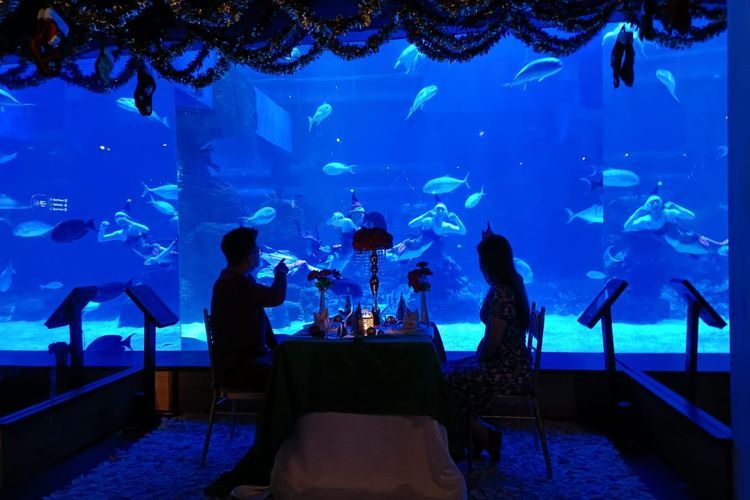 Berikut ini 4 tips berkunjung ke Jakarta Aquarium & Safari, jadi destinasi kencan menarik viral di TikTok.