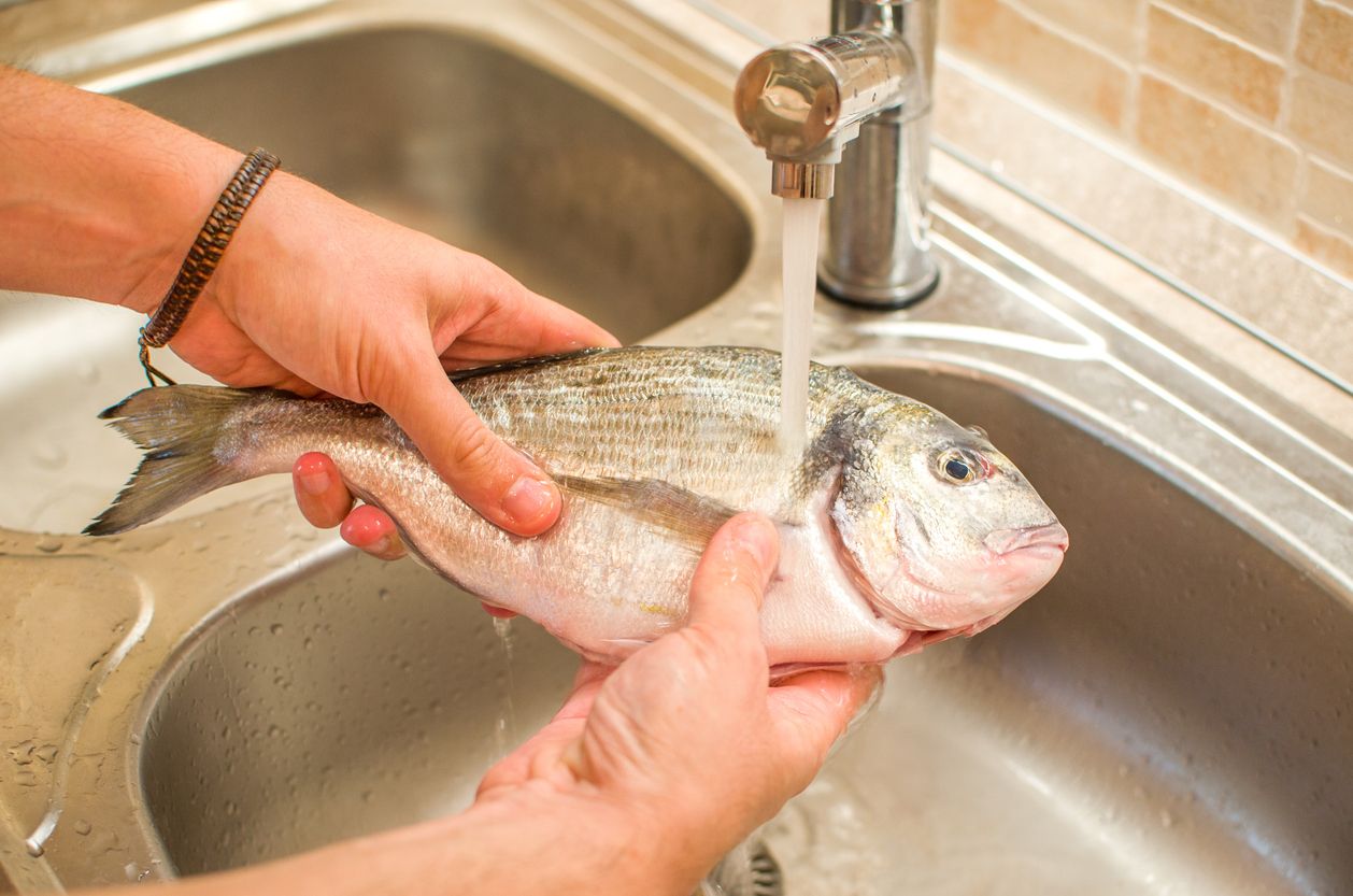 Berikut ini 3 tips mencuci ikan dengan tepat, salah satunya jangan dicuci pakai lemon, simak alasannya.
