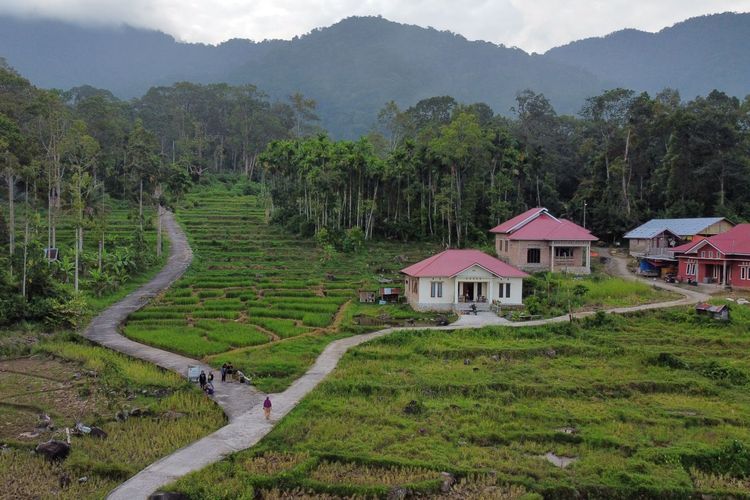 Berikut ini 3 tips berkunjung ke Desa Wisata Koto Kaciak di Agam, Sumatra Barat, simak selengkapnya.