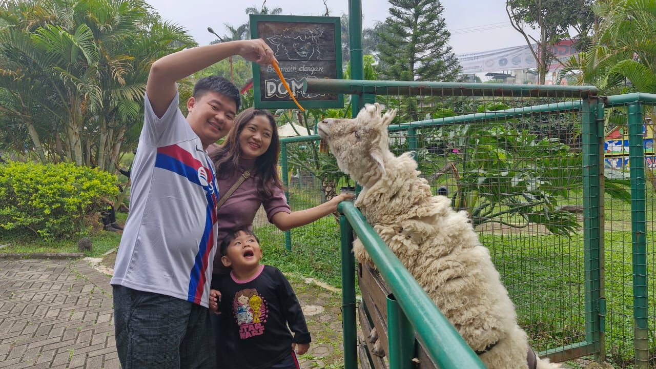 Berikut ini 3 aktivitas seru di Happy Farm Ciwidey di Bandung, salah satunya bisa beri makan hewan, simak selengkapnya.
