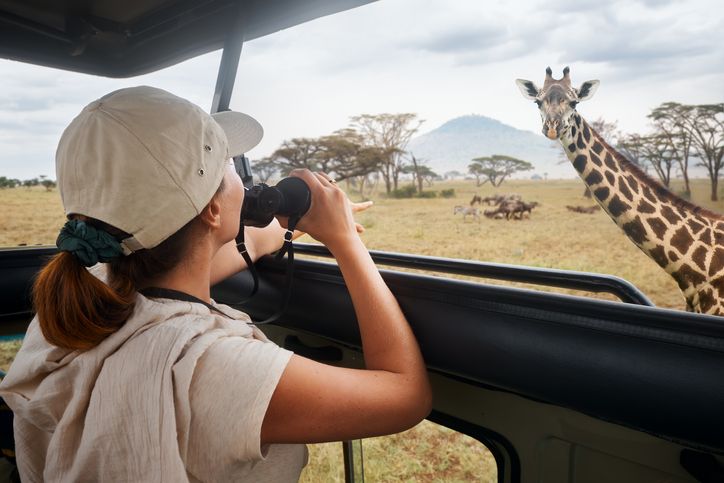 Viral pengunjung keluar mobil di Taman Safari Indonesia Bogor, yuk ketahui larangan saat berada di taman safari.