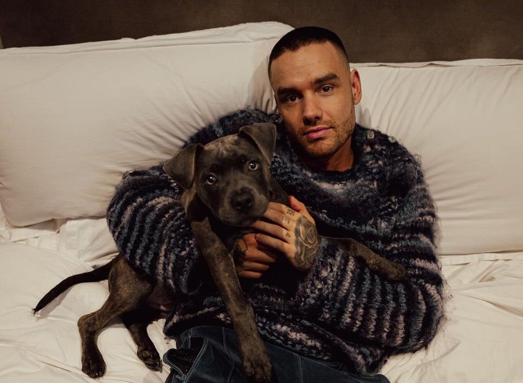Kronologi Liam Payne meninggal dunia usai terjatuh dari lantai tiga balkon kamar hotelnya. Diduga dalam pengaruh obat-obatan!