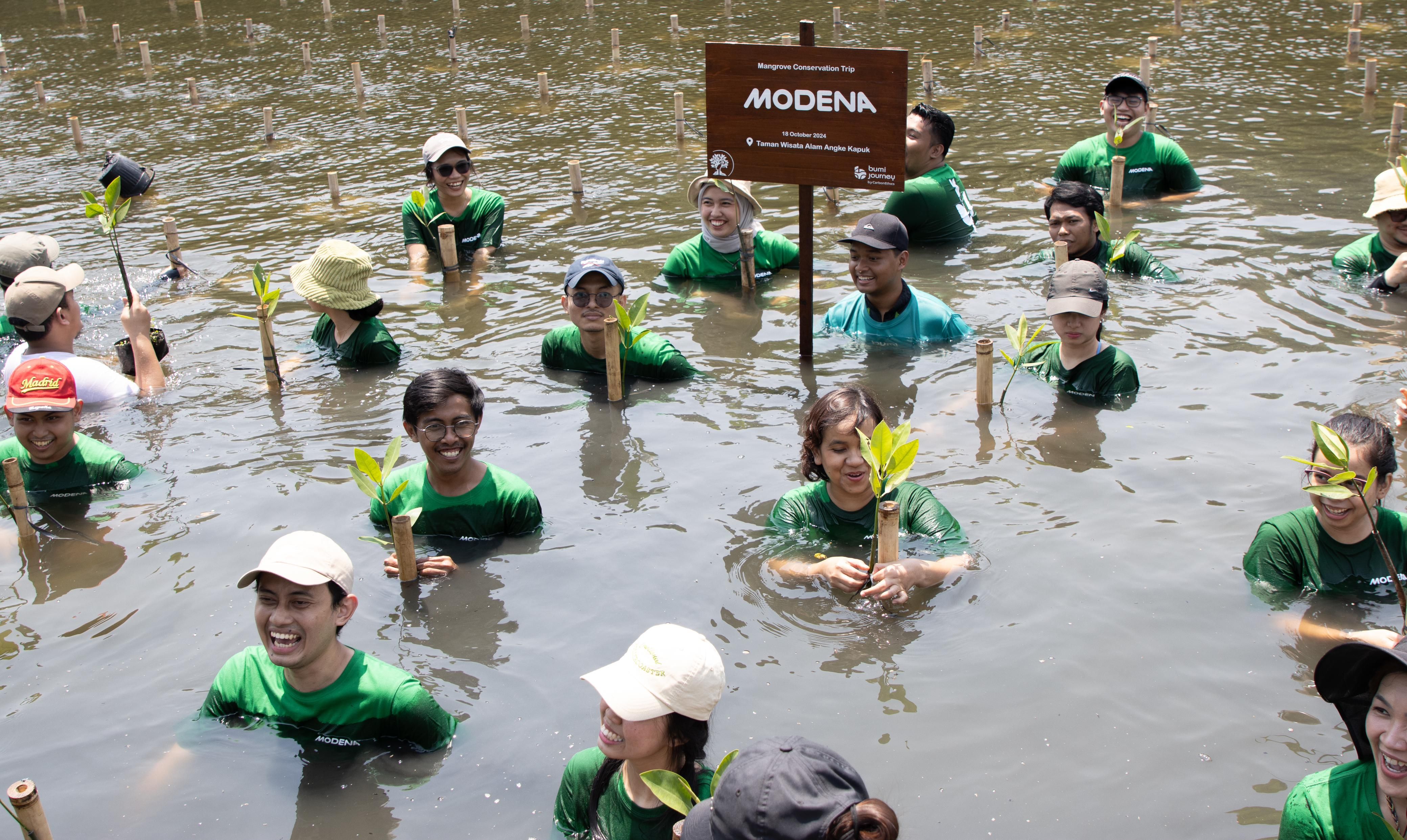 Sebagai salah satu bentuk kontribusi pada lingkungan, MODENA lakukan kegiatan penanaman mangrove yang melibatkan karyawan.