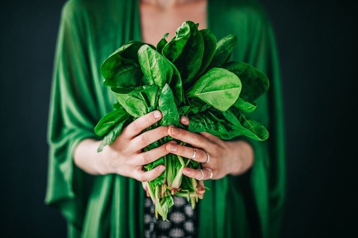 Kamu hobi berkebun? Berikit ada beberapa tips yang bisa diterapkan ketika memanen tanaman bayam. Apa saja?