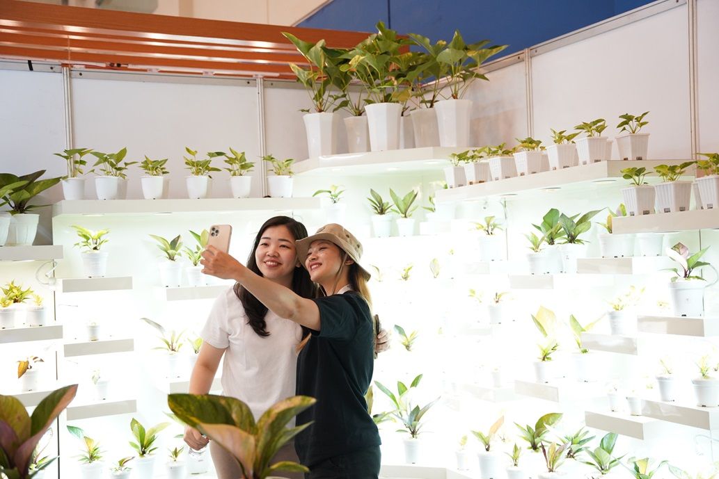 Mengintip berbagai kemeriahan pameran tanaman hias Floriculture Indonesia International (FLOII) Expo 2024.