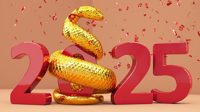 Tahun Ular, ini ide dekorasi rumah untuk menyambut Tahun Baru Imlek 2025 yang bisa kamu aplikasikan di dalam maupun luar ruangan.