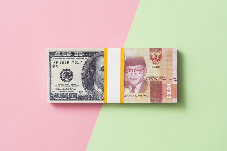 Berkaca dari dolar AS yang anjlok meski karena mesin pencari eror, ketahui penyebab nilai mata uang naik turun.