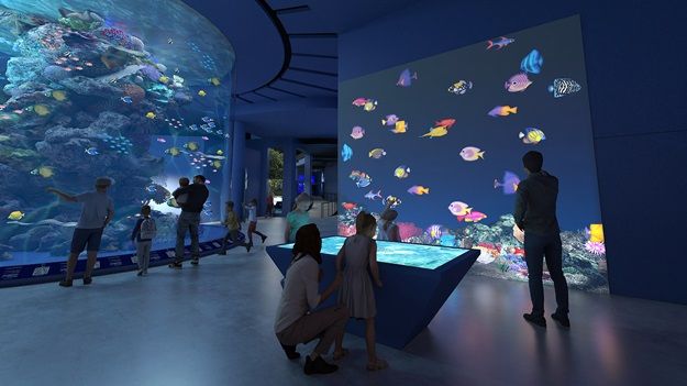 Singapore Oceanarium persembahan Resorts World Sentosa, suguhkan pengalaman baru wisata bahwa laut yang menakjubkan!
