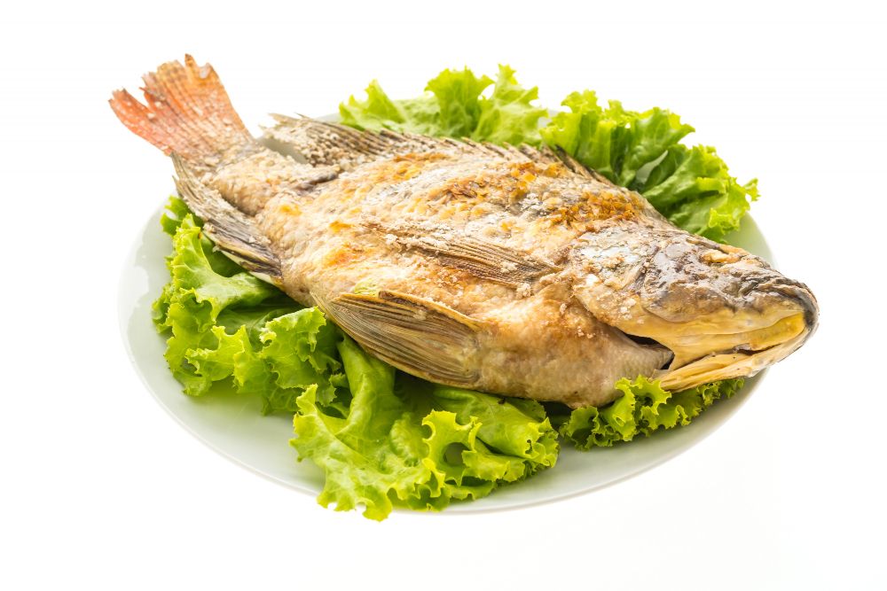 Bau lumpur pada ikan gurame segar menjadi hal yang tak terhindarkan. Lantas, bagaimana cara menghilangkannya?