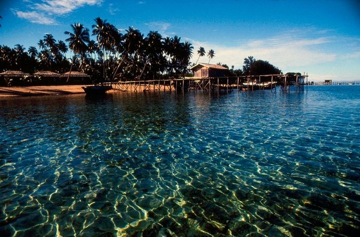 Peringati Hari Laut Sedunia, berikut ini beberapa rekomendasi wisata bawah laut yang patut kamu kunjungi di Indonesia.