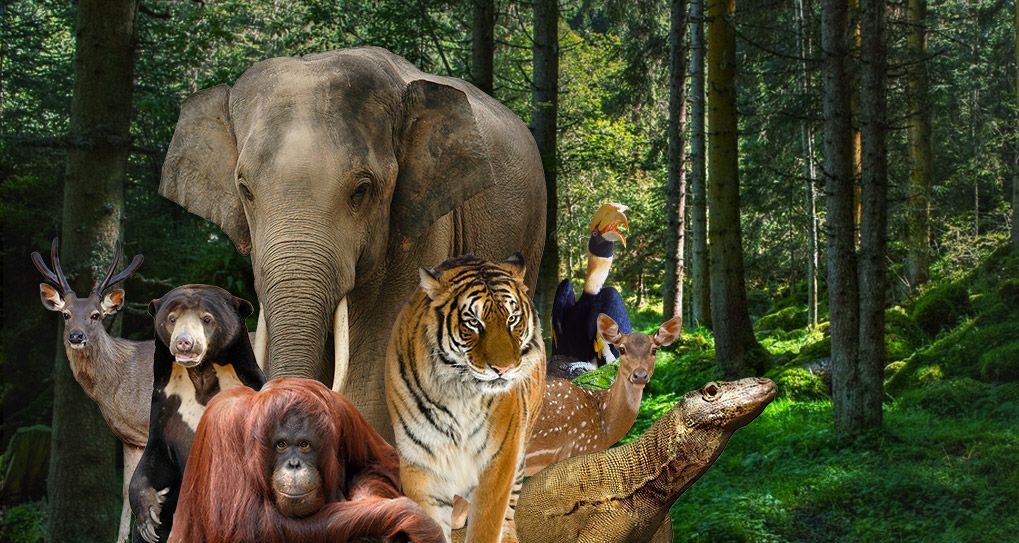 Deretan berita terpopuler di kanal Wellness. Mulai dari tips menyewa sepeda di Ragunan hingga membuat bandeng presto. 