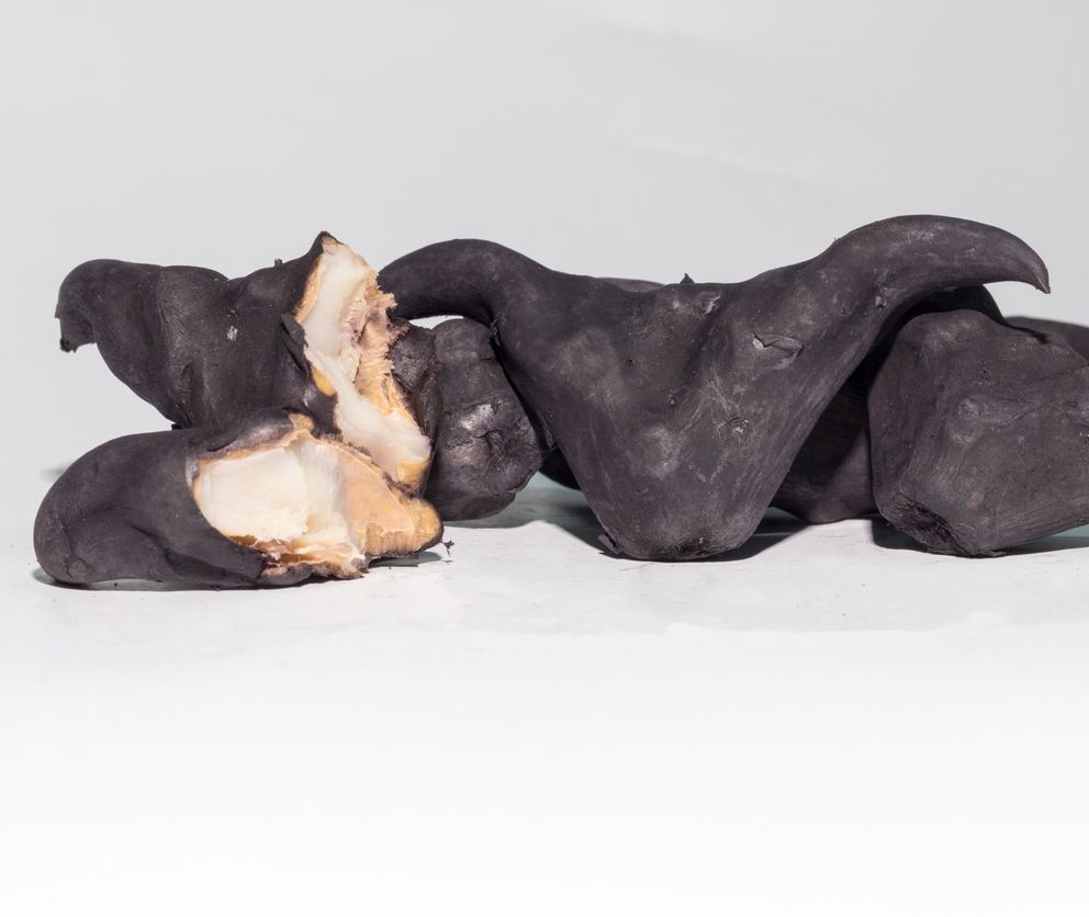 Berikut ini 5 manfaat water caltrop, kacang berbentuk kerbau bertanduk yang viral di TikTok, simak selengkapnya