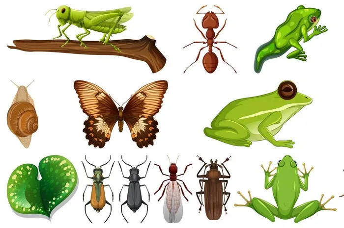 Waspada, 9 Binatang Ini Sering Muncul dan Masuk Rumah Saat Cuaca Panas ...