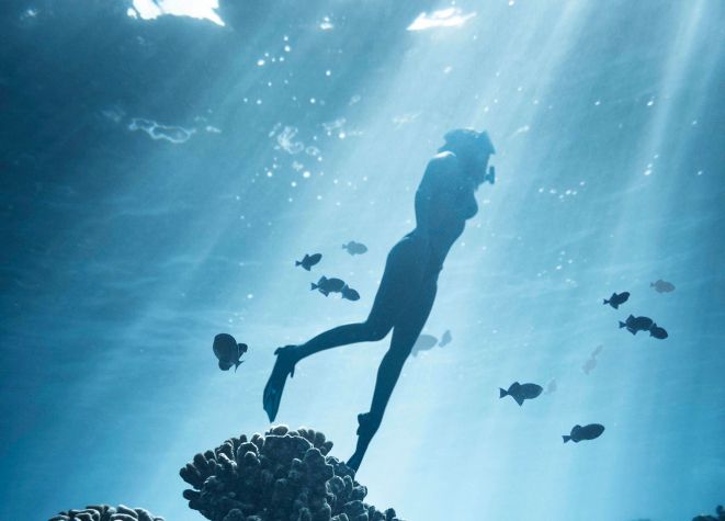 Freediving belakangan menjadi olahraga yang populer. Berikut ini lima peralatan freediving yang perlu kamu tahu.