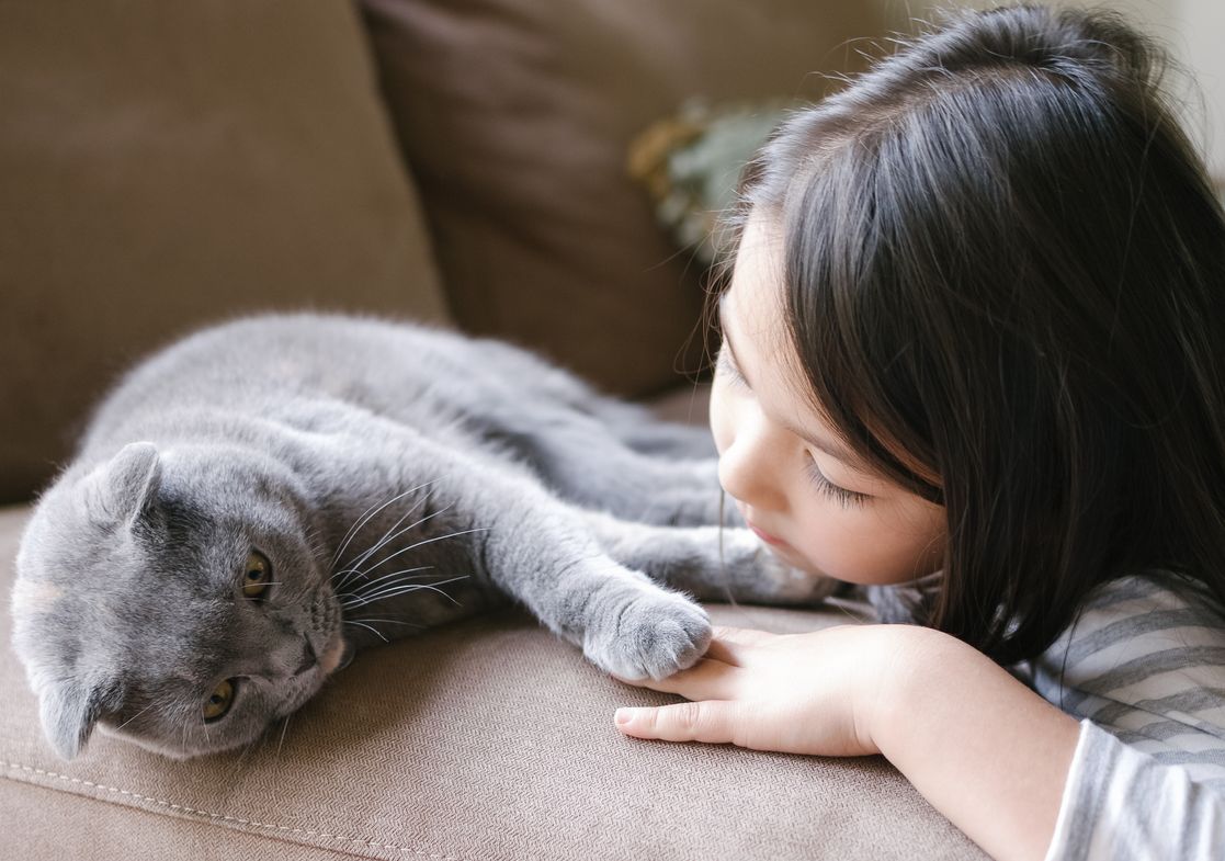Kawan Puan sedang mengajarkan anak memelihara hewan peliharaan? Ini yang boleh dan tidak boleh kamu lakukan!