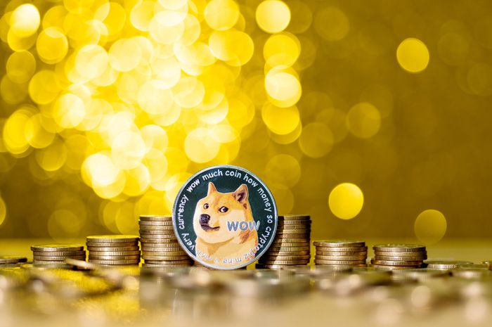 Mengenal Dogecoin, Mata Uang Kripto Yang Melejit Gara-Gara Elon Musk ...