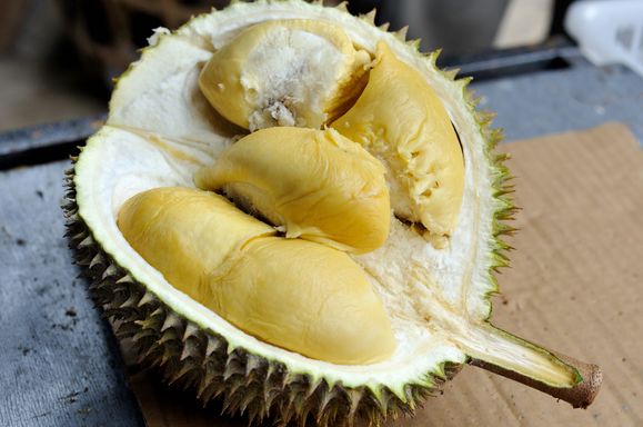 Di Indonesia ada yang namanya musim durian, yuk, ketahui cara menanam durian yang benar agar tumbuh subur dan berbuah hingga waktu panennya.