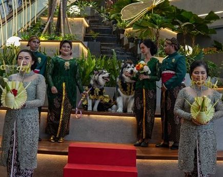 Berbagai hal yang harus dipahami sebelum mengawinkan hewan peliharaan, mulai dari kesehatan hingga siklus birahi.