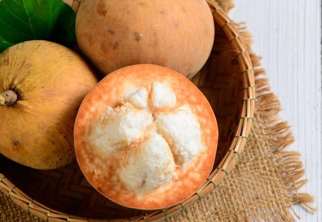 Bertepatan dengan Hari Buah Internasional, yuk ketahui lima daftar buah langka Indonesia, antara lain ada buah gandaria sampai kecapi.
