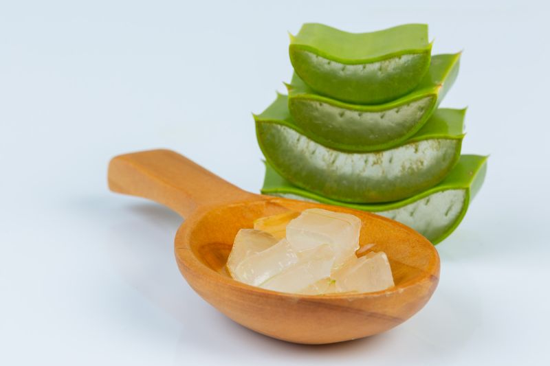Cukup pakai lidah buaya, begini cara menghilangkan jerawat secara alami yang bisa kamu lakukan sendiri di rumah.