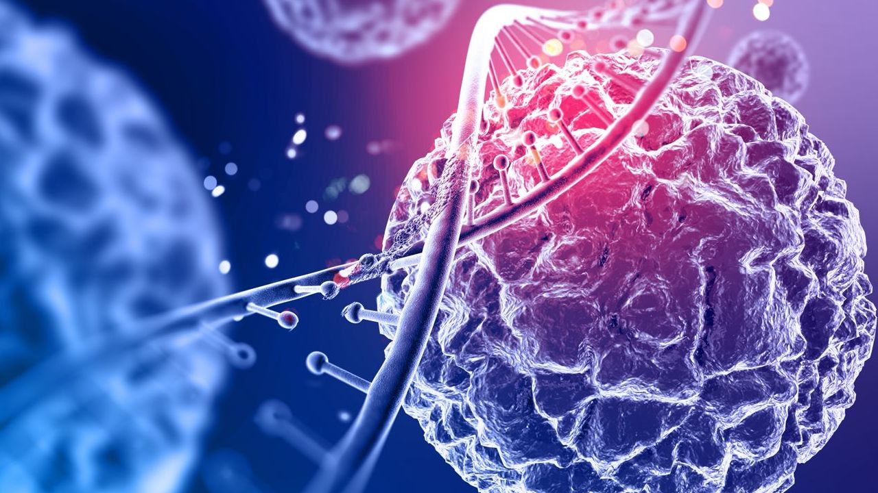 Terapi stem cell kini jadi salah pengobatan dari berbagai penyakit yang tengah dibicarakan publik. Ini bisa jadi tujuan health tourism Indonesia