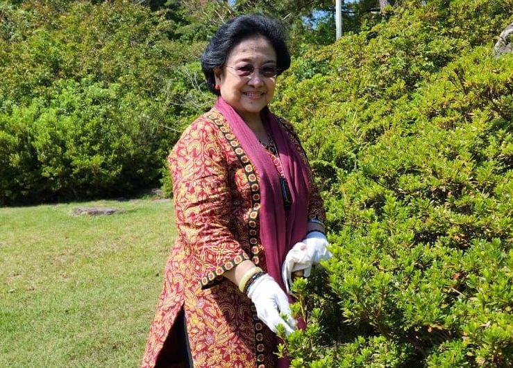 Profil dan perjalanan karier Megawati Soekarnoputri, politisi sekaligus presiden perempuan pertama di Indonesia.