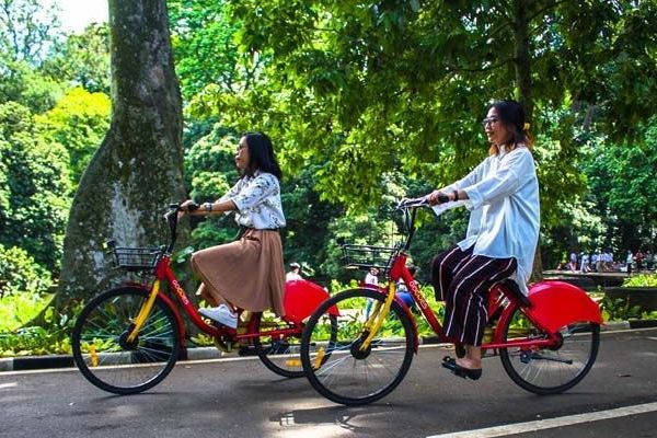 Berikut itinerary liburan sehari di Kebun Raya Bali yang bisa kamu coba. Yuk simak berbagai aktivitas yang bisa dilakukan!
