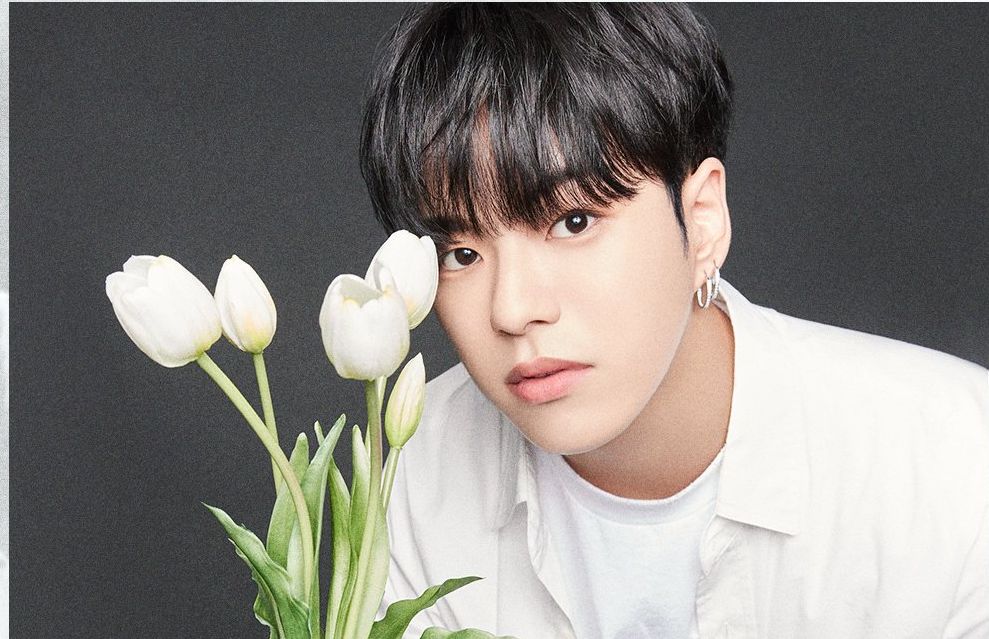 Tak banyak yang tahu, berikut ini sederet fakta menarik Jaehyuk Tresure.
Kira-kira apa saja fakta tersebut?