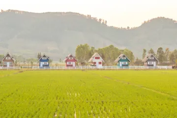 Rumah dekat dengan sawah