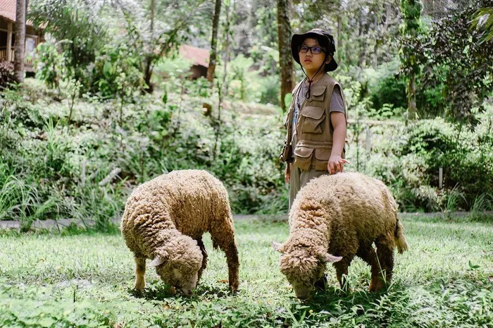 Tips berkunjung ke hidden gem Boemisora di Kabupaten Semarang