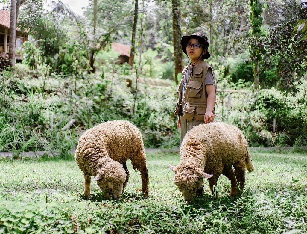 Berikut ini tiga tips berkunjung ke Boemisora yang merupakan hidden gem agrowisata di Kabupaten Semarang