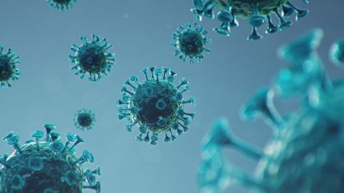 Penyebaran virus Covid-19 yang terus meningkat setiap harinya membuat Kota Ambon kembali berada di zona merah.