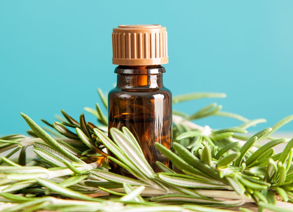 Kamu punya masalah rambut rontok? Berikut ini 5 rekomendasi rosemary oil yang viral di TikTok karena berperan untuk pertumbuhan rambut. Simak, ya.
