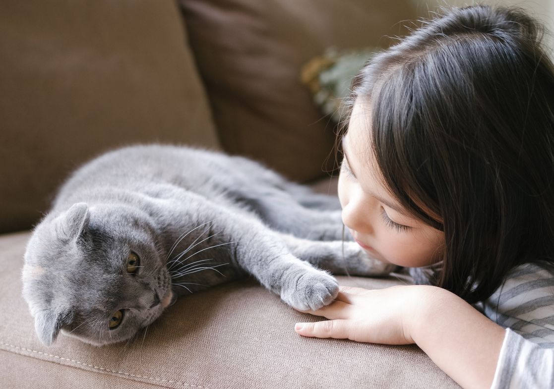 Kehilangan hewan peliharaan bagi anak sangat menyakitkan hatinya. Simak, berikut cara menghibur anak yang baru kehilangan hewan peliharaannya!
