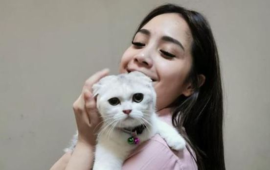Rayakan Hari Kucing Sedunia, ini 5 artis Tanah Air yang pecinta kucing dan punya peliharaan kucing di rumah.