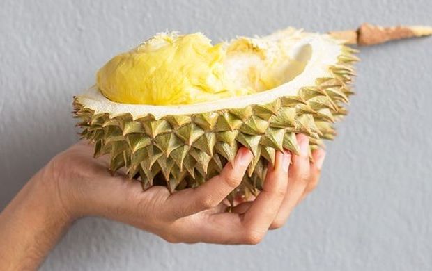Ini 5 manfaat durian bagi kesehatan, buah khas Indonesia yang bikin Siwon Super Junior penasaran untuk mencicipi.