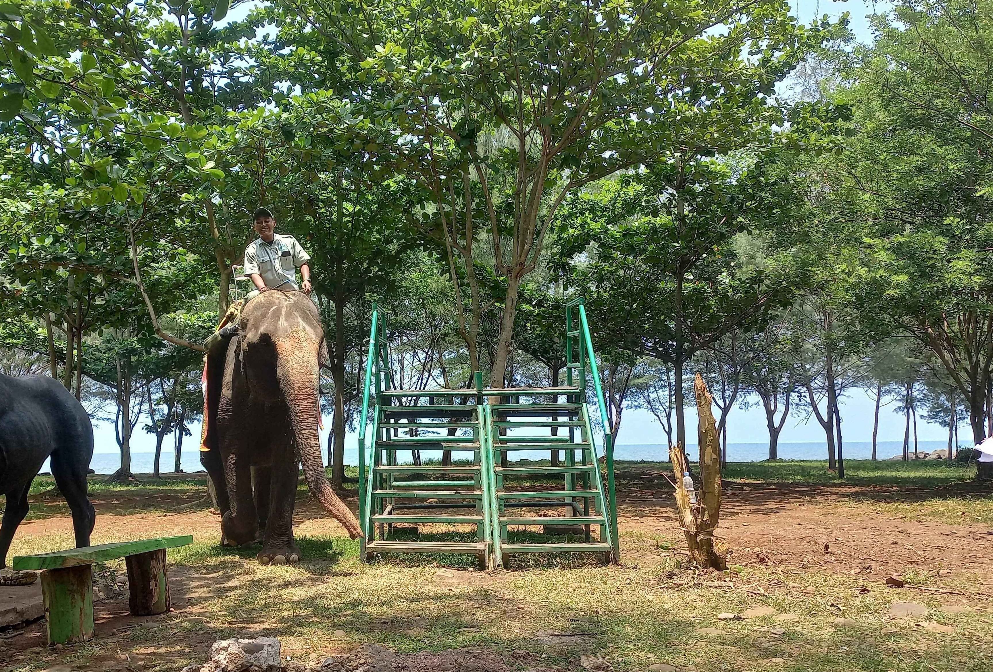 Berikut ini itinerary liburan sehari di Safari Beach Jateng yang ada di Kabupaten Batang, bisa naik unta dan gajah.