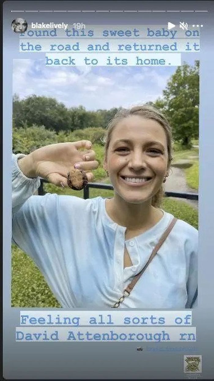 Wajah Natural Blake Lively